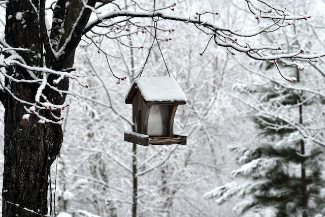 wooden bird feeder hanging in frosty tree